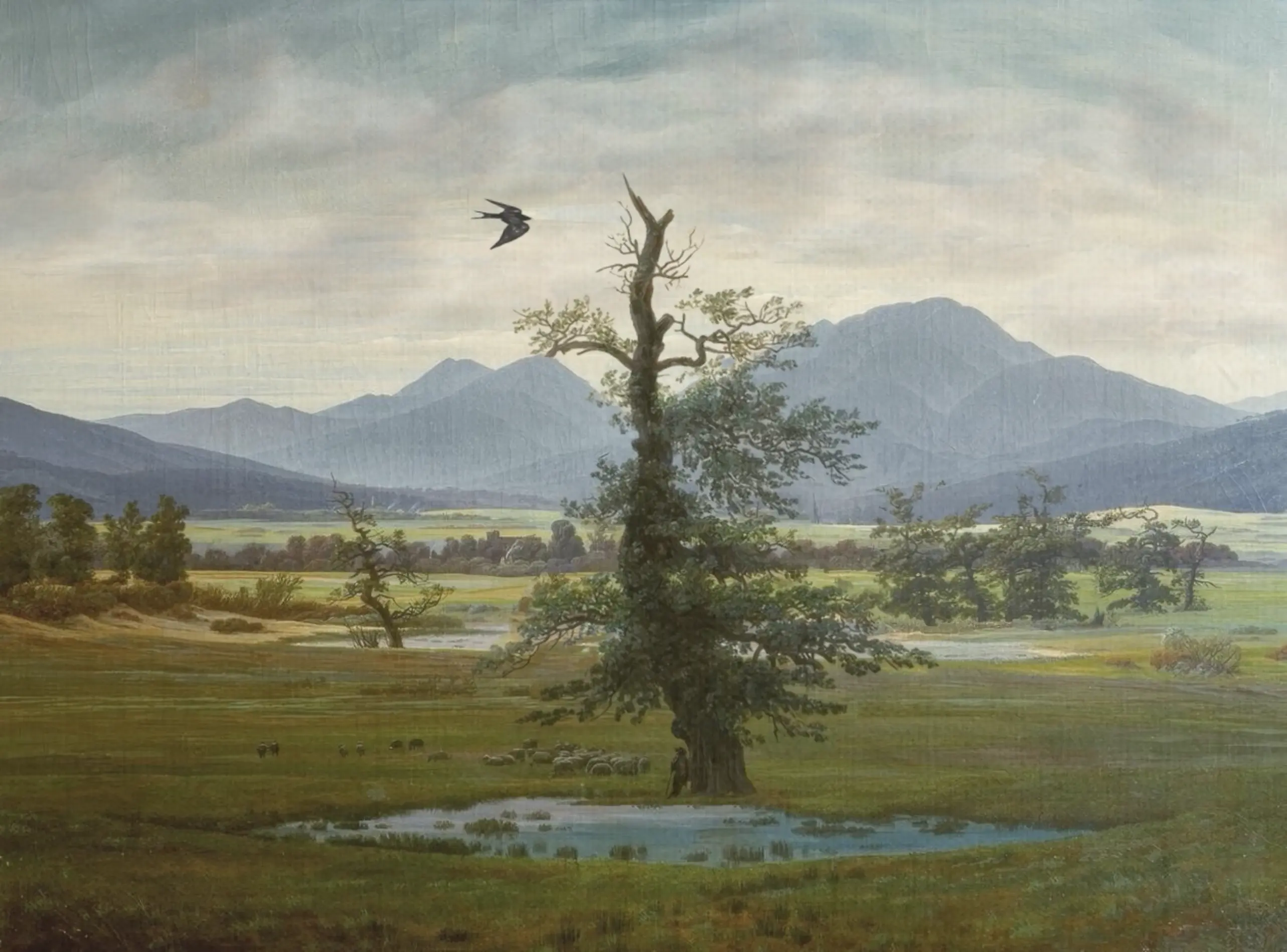 Moving Art thumbnail